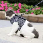 2025 New Year Hot Cat Dogs Vest Harness and Leash Anti-break Away Chest Strap Cat Clothes