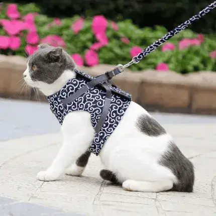 2025 New Year Hot Cat Dogs Vest Harness and Leash Anti-break Away Chest Strap Cat Clothes