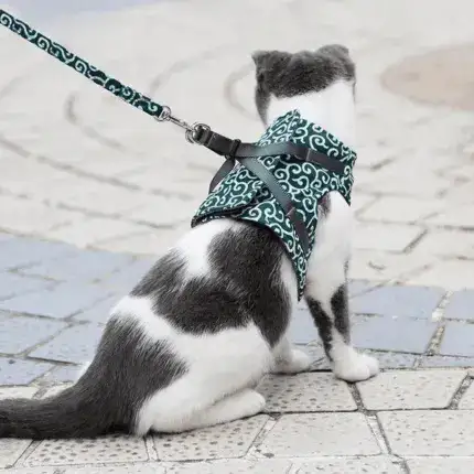 2025 New Year Hot Cat Dogs Vest Harness and Leash Anti-break Away Chest Strap Cat Clothes