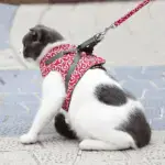 2025 New Year Hot Cat Dogs Vest Harness and Leash Anti-break Away Chest Strap Cat Clothes