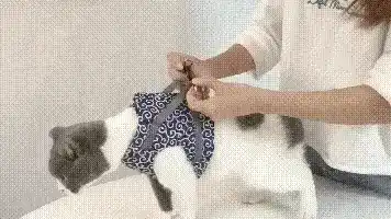 Ergonomic Handle