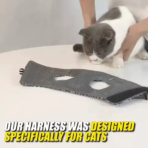 Cat Harness and Leash