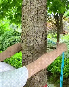 Portable Clothesline